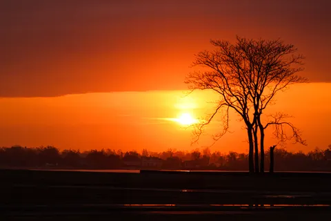 خلفية غروب السافانا بدقة 4K · nature · 3840×2561