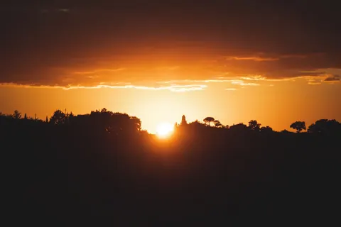 Savanna Sunset 4K Wallpaper · nature · 3840×2560