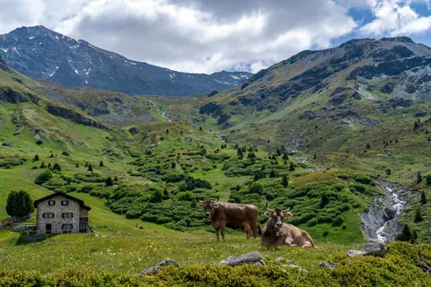 Swiss Alps 4K Wallpaper · mountains · 3840×2561