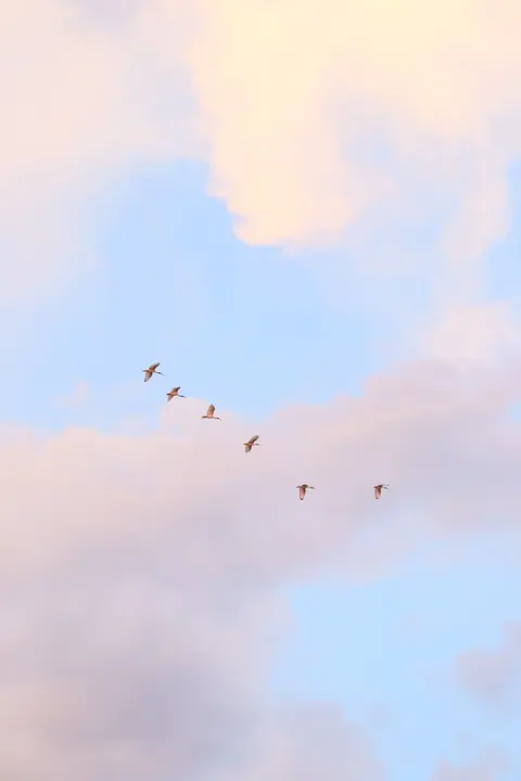Pastel Clouds Phone Wallpaper · pastel · 1440×2160