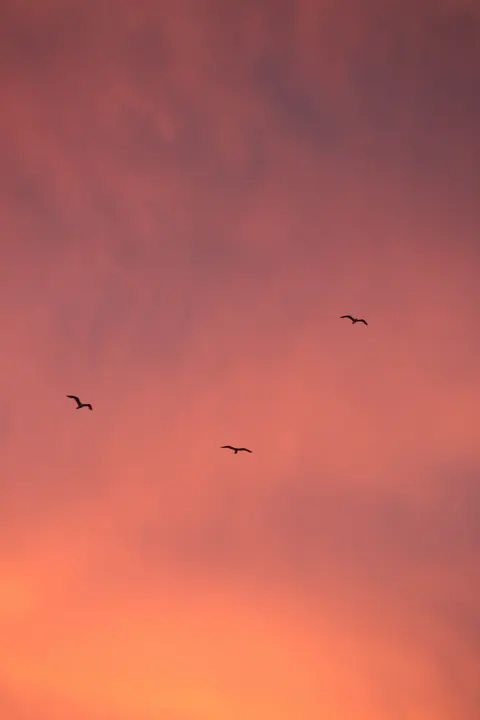 Pastel Clouds Phone Wallpaper · pastel · 1440×2160