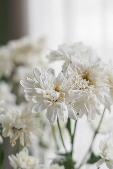 Pastel Blooms Phone Wallpaper · pastel · 1440×2160