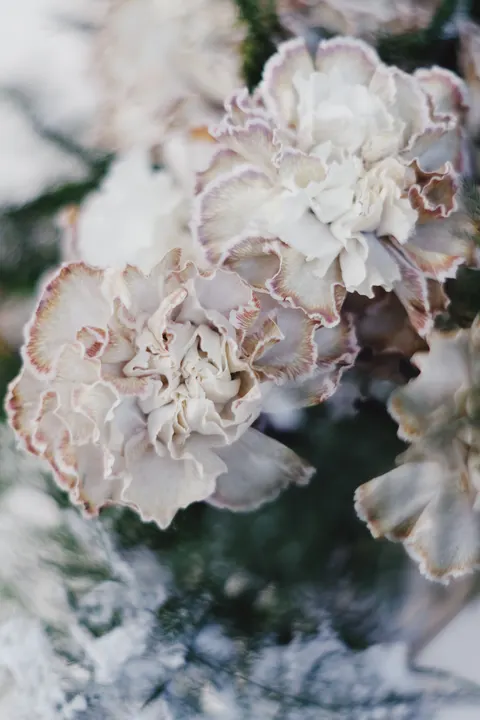 Pastel Blooms Phone Wallpaper · pastel · 1440×2160
