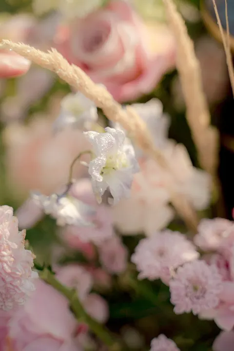 Pastel Blooms Phone Wallpaper · pastel · 1440×2160