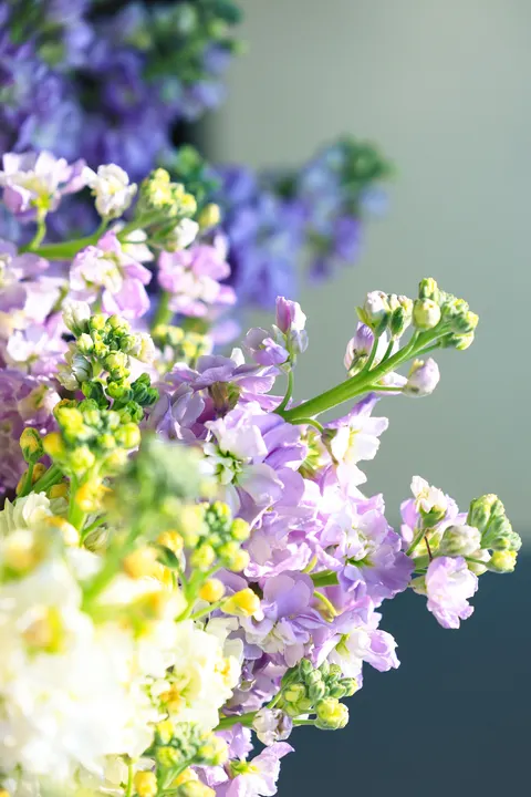 Pastel Blooms Phone Wallpaper · pastel · 1440×2160