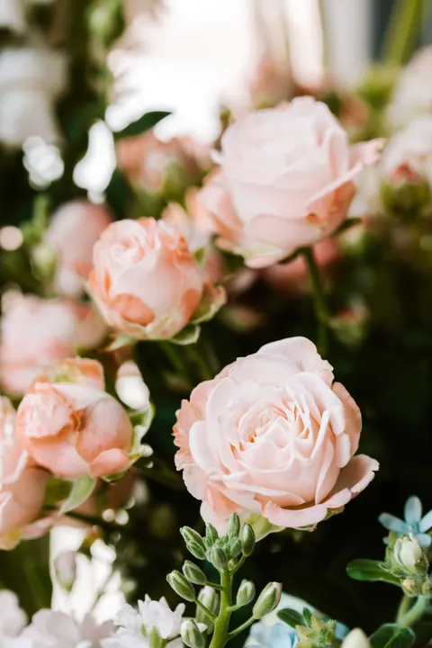 Pastel Blooms Phone Wallpaper · pastel · 1440×2160