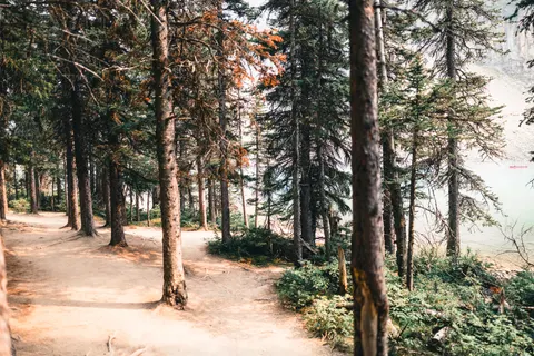 Mountain Trail 4K Wallpaper · mountains · 3840×2561