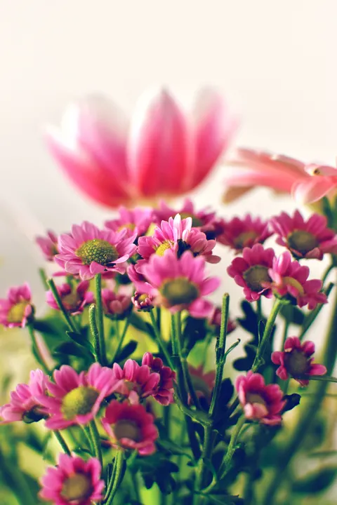 Pastel Blooms Phone Wallpaper · pastel · 1440×2160