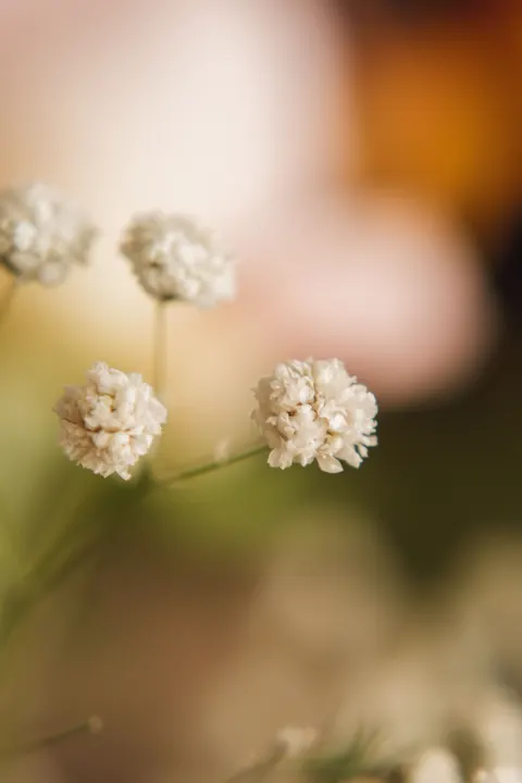 Pastel Blooms Phone Wallpaper · pastel · 1440×2160