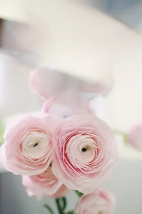 Pastel Blooms Phone Wallpaper · pastel · 1440×2160