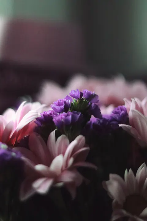 Pastel Blooms Phone Wallpaper · pastel · 1440×2160