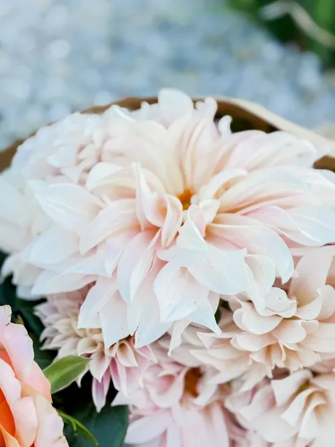 Pastel Blooms Phone Wallpaper · pastel · 1440×1920