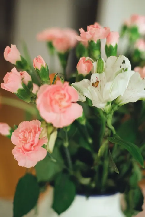 Pastel Blooms Phone Wallpaper · pastel · 1440×2160