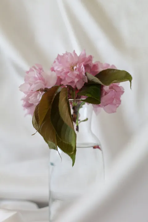 Pastel Blooms Phone Wallpaper · pastel · 1440×2159
