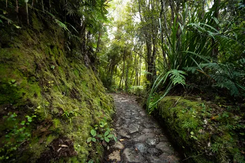 Mountain Trail 4K Wallpaper · mountains · 3840×2560