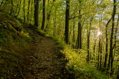 Mountain Trail 4K Wallpaper · mountains · 3840×2563