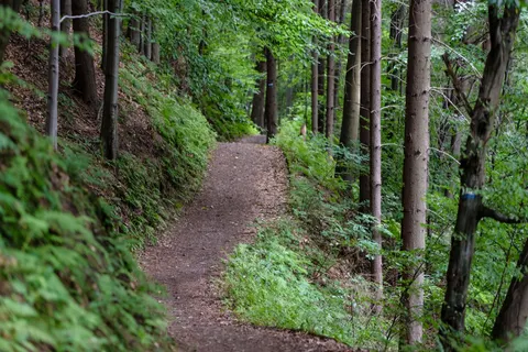 Mountain Trail 4K Wallpaper · mountains · 3840×2563
