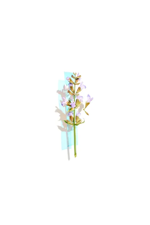 Mint Lavender Phone Wallpaper · pastel · 1440×2157