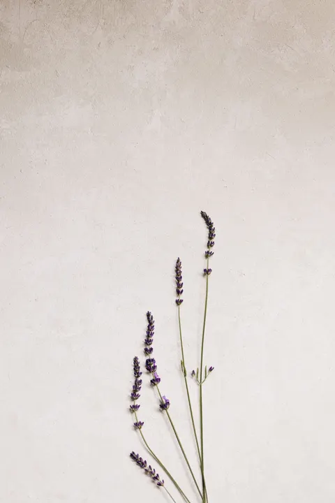 Mint Lavender Phone Wallpaper · pastel · 1440×2159