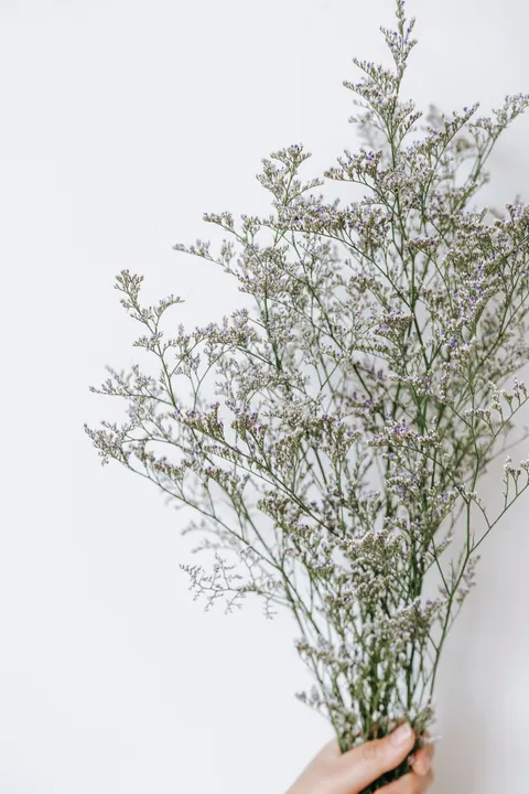 Mint Lavender Phone Wallpaper · pastel · 1440×2160