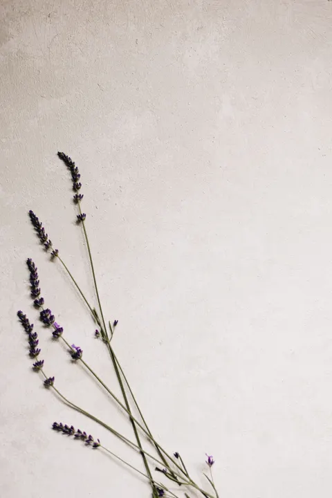 Mint Lavender Phone Wallpaper · pastel · 1440×2159