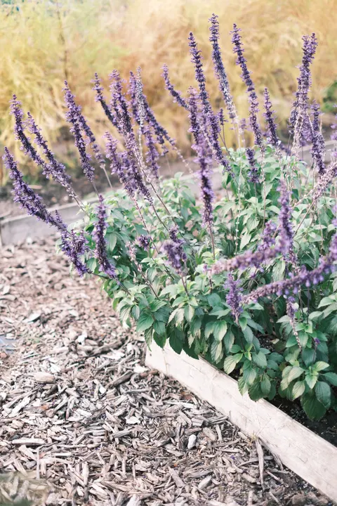 Mint Lavender Phone Wallpaper · pastel · 1440×2160