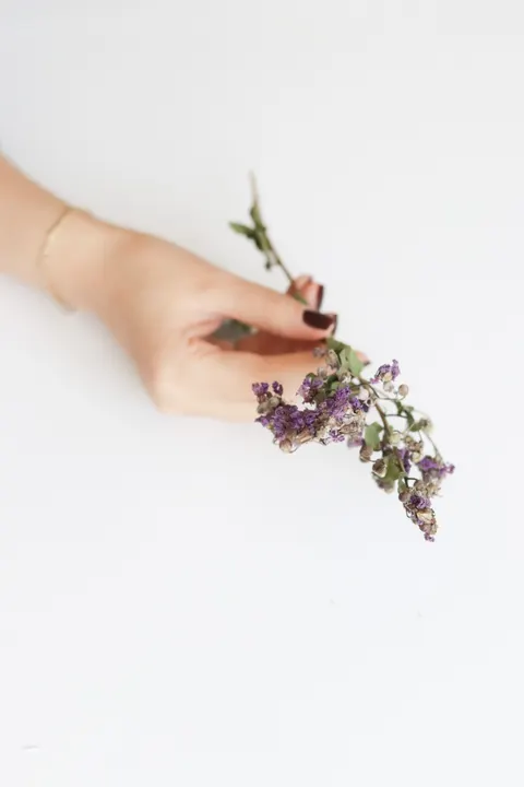 Mint Lavender Phone Wallpaper · pastel · 1440×2160