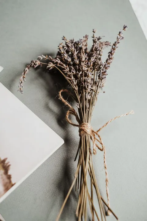 Mint Lavender Phone Wallpaper · pastel · 1440×2160