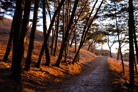 Mountain Trail 4K Wallpaper · mountains · 3840×2560