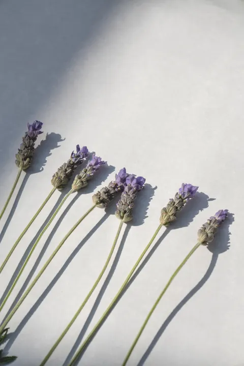 Mint Lavender Phone Wallpaper · pastel · 1440×2159