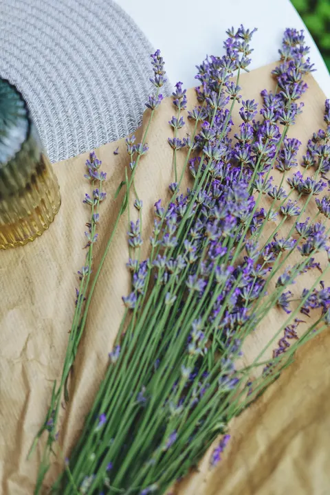 Mint Lavender Phone Wallpaper · pastel · 1440×2160