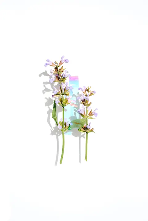 Mint Lavender Phone Wallpaper · pastel · 1440×2157