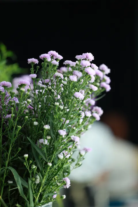 Mint Lavender Phone Wallpaper · pastel · 1440×2160