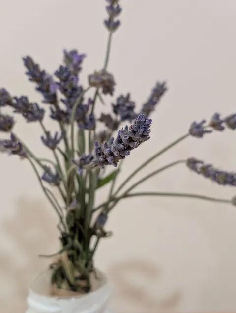 Mint Lavender Phone Wallpaper · pastel · 1440×1913