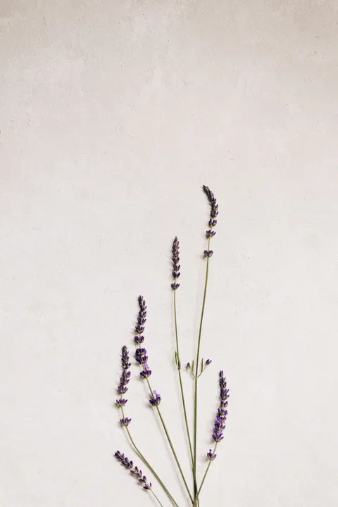 Mint Lavender Phone Wallpaper · pastel · 1440×2159
