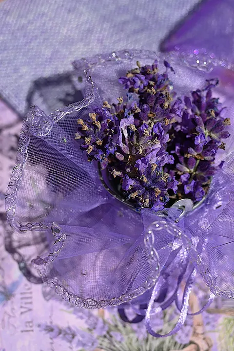 Mint Lavender Phone Wallpaper · pastel · 1440×2158