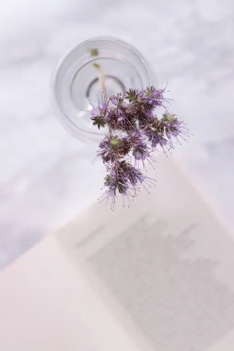 Mint Lavender Phone Wallpaper · pastel · 1440×2160