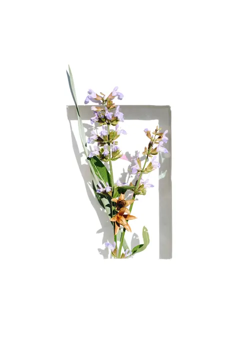 Mint Lavender Phone Wallpaper · pastel · 1440×2157
