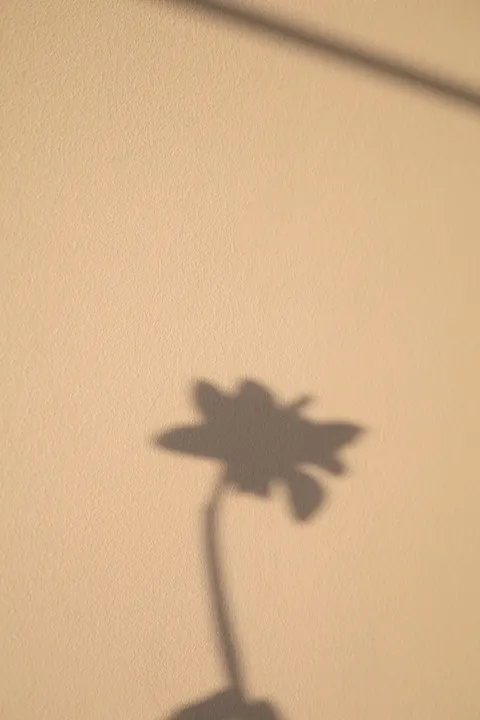Cream Minimal Phone Wallpaper · pastel · 1440×2160