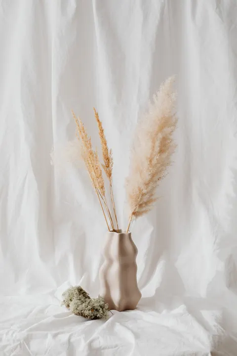 Cream Minimal Phone Wallpaper · pastel · 1440×2160