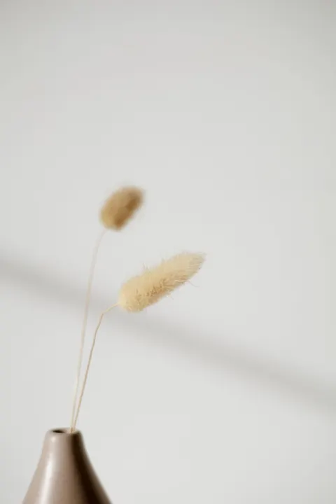 Cream Minimal Phone Wallpaper · pastel · 1440×2160