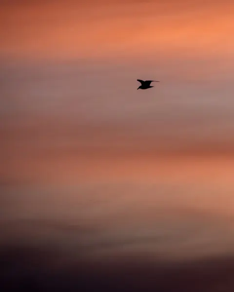 Pastel Sky Phone Wallpaper · pastel · 1440×1798