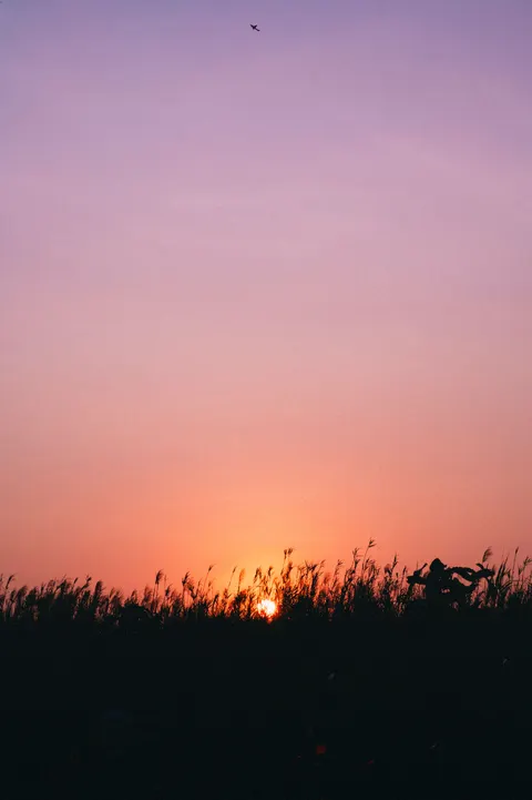 Pastel Sky Phone Wallpaper · pastel · 1440×2164