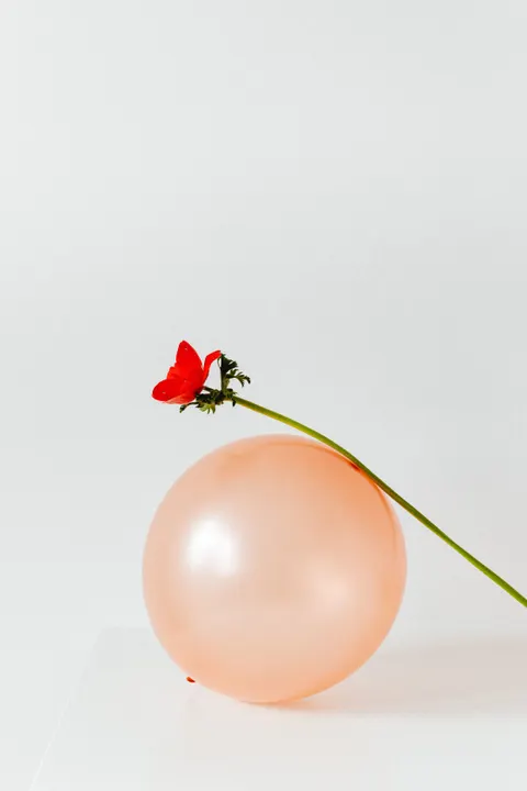 Peach Minimal Phone Wallpaper · pastel · 1440×2160