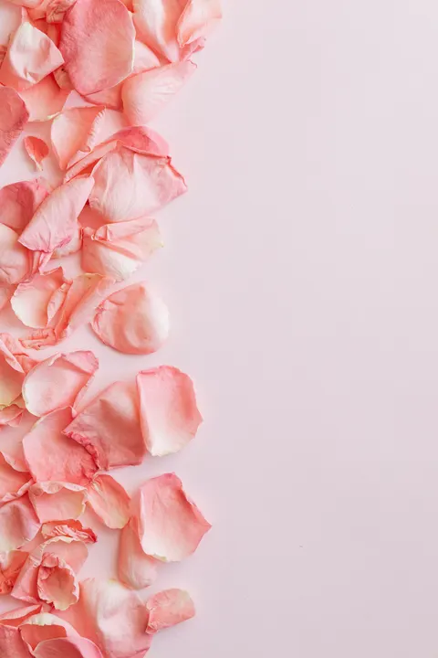 Peach Minimal Phone Wallpaper · pastel · 1440×2160