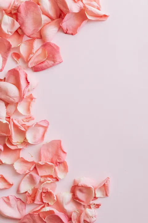 Peach Minimal Phone Wallpaper · pastel · 1440×2160