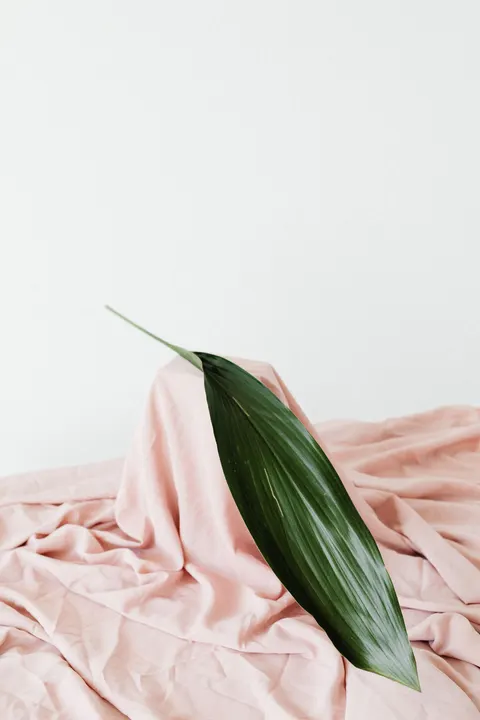 Peach Minimal Phone Wallpaper · pastel · 1440×2160