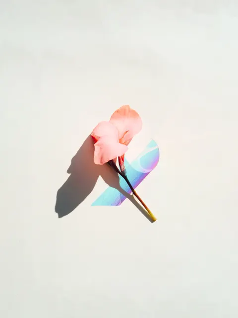 Peach Minimal Phone Wallpaper · pastel · 1440×1919