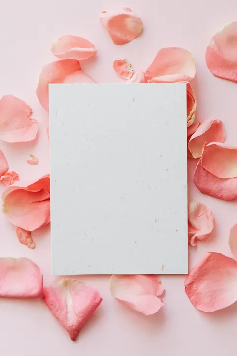 Peach Minimal Phone Wallpaper · pastel · 1440×2160