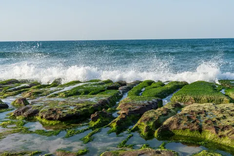 Rocky Shore 4K Wallpaper · ocean · 3840×2560